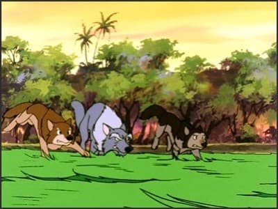 Episode 4: The Jungle Law