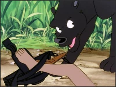 Episode 8: Sorry Baloo