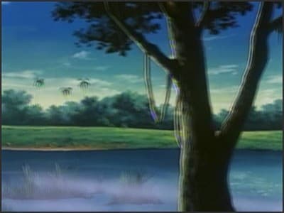 Episode 24: Mowgli Has A Sweet Heart