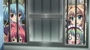 Episode 11: Mashiroiro Symphony