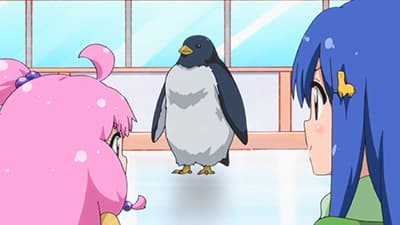 Episode 11: A 25 Meter Pool's Worth
