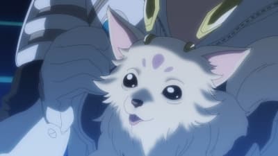 Episode 2: My Cute Puppy / Do Not Disturb
