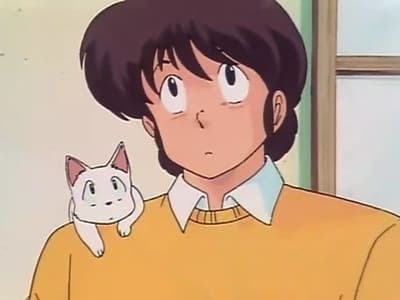 Episode 21: Godai-kun Panic! Ikokku-kan`s Kitten Tale!!