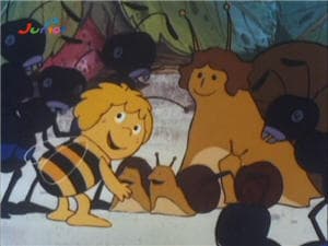 Episode 7: Pook the housefly