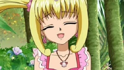 Episode 28: Seira's Flower Garden