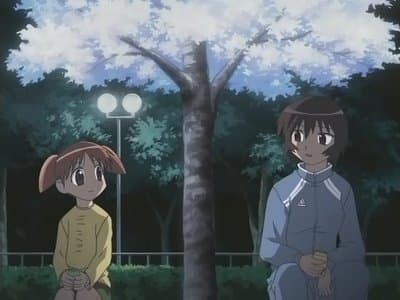 Episode 19: Yawning Expert / Vaguely Youth / Adult Cherry-Blossom Viewing / Child Chery-Blossom Viewing / Cherry Blossom