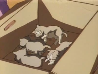 Episode 6: Heart & Soul