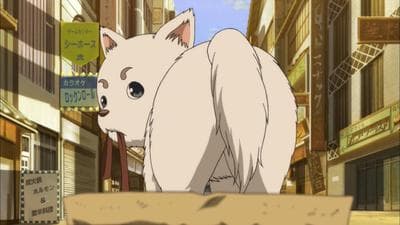 Episode 13: Dog Food Doesn't Have As Much Flavor As You'd Think