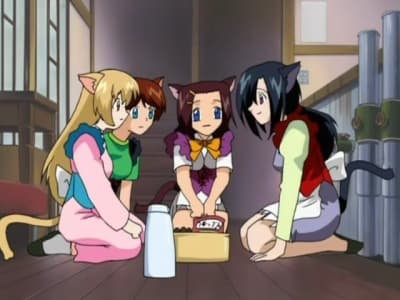 Episode 8: A Vacation for the Catgirl Maids