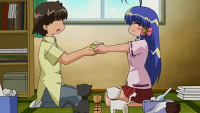 Episode 18: Meow Meow Meow