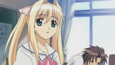 Episode 2: Sawaki Rinna (Part 2)
