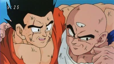 Episode 96: Combine Your Strength! The Final Kamehame-Ha!