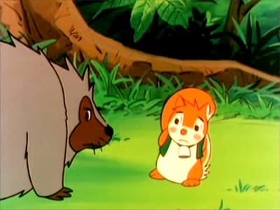 Episode 15: Wandering Porcupine
