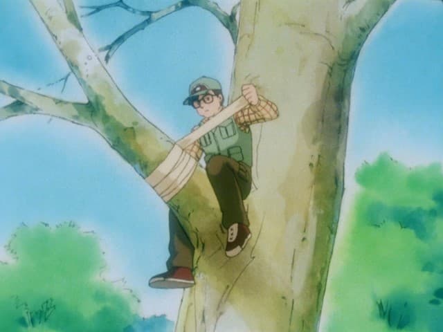 Episode 35: Get Back the 'Tree of Happiness