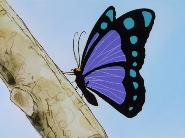 Episode 36: A Precious Creature of Nature: Save the Beautiful Butterfly!