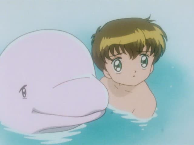Episode 39: White Dolphin' - Return to the Sea!