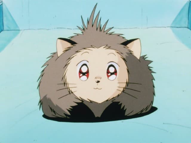 Episode 3: Meimi's Love!?