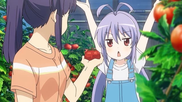 Episode 4: I Turned Into Santa to Deliver Tomatoes