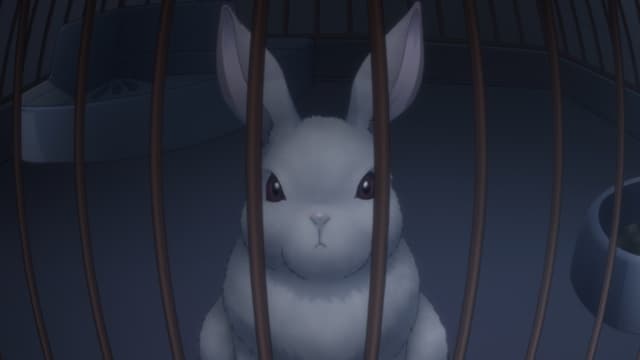 Episode 11: Reunion