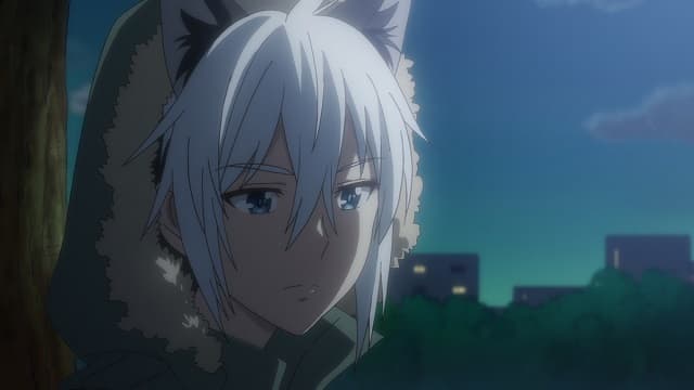 Episode 6: Battle of Dogs and Cats, Part One / Battle of Dogs and Cats, Part Two / Night Picnic