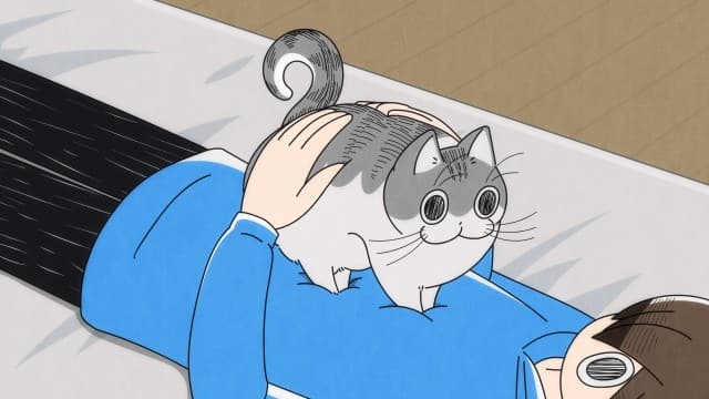 Episode 22: When Our Cat Gets on Our Stomach