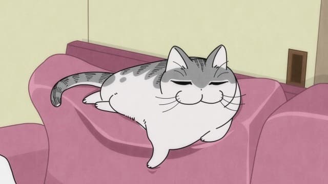 Episode 29: Cats Don`t Know What to Do with Their Front Paws