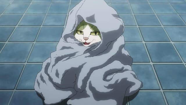 Episode 9: Commeowndo
