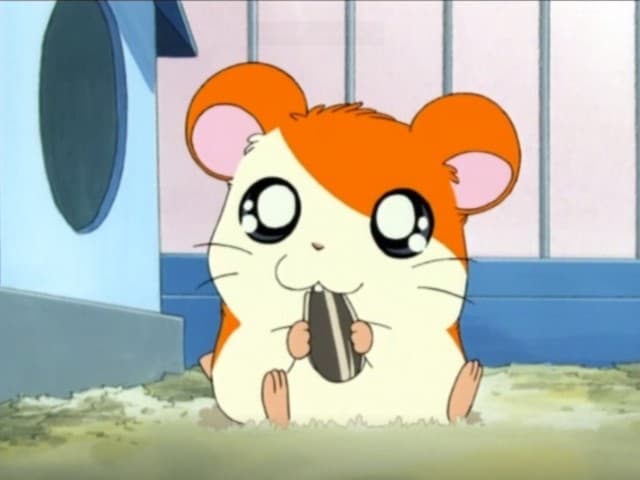 Episode 1: Hamtaro!