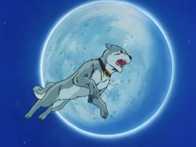 Episode 4: The Challenge Of the Gigantic Bear Akakabuto!