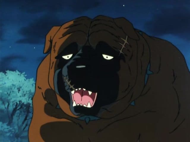 Episode 11: Ninja Dogs! The Black Shadow of Iga Village!