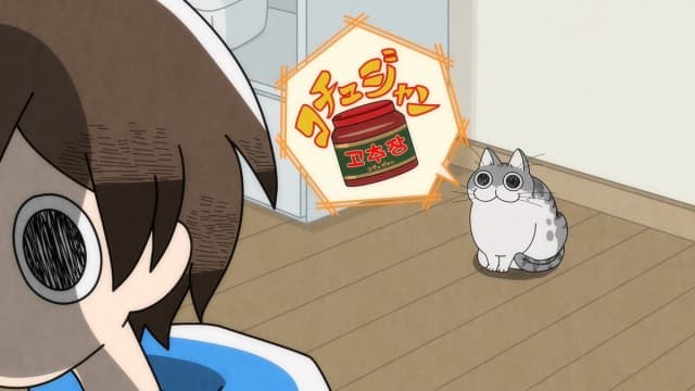Episode 1: My Cat Only Says Words I Haven`t Taught Him