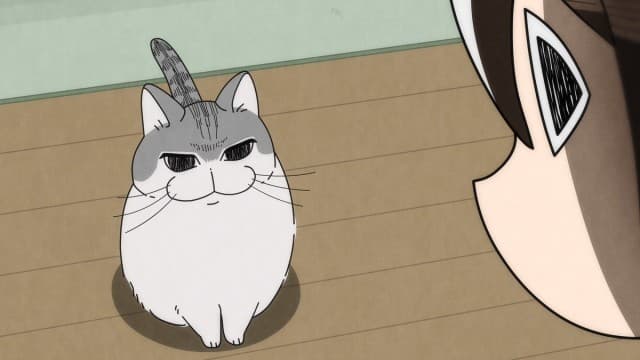 Episode 3: The Cat Was Sleeping
