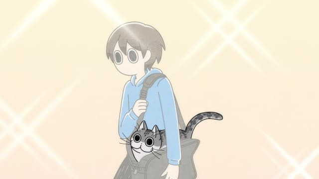 Episode 6: Cats Who Get in Bags