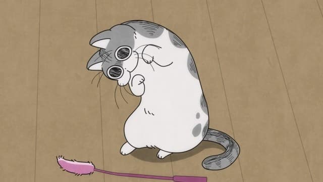 Episode 9: New Cat Toy