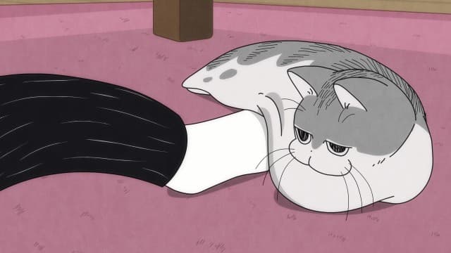 Episode 12: Touching a Cat Unexpectedly