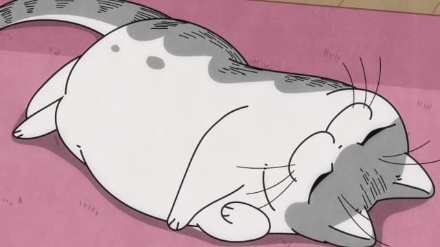 Episode 13: Taking Breaks with Kyuruga