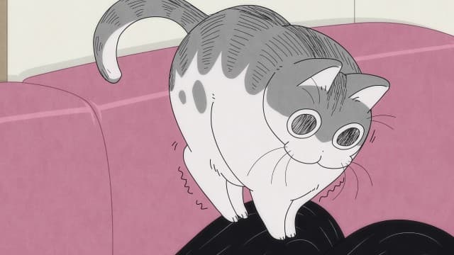 Episode 14: Cats Relaxing in Strange Places