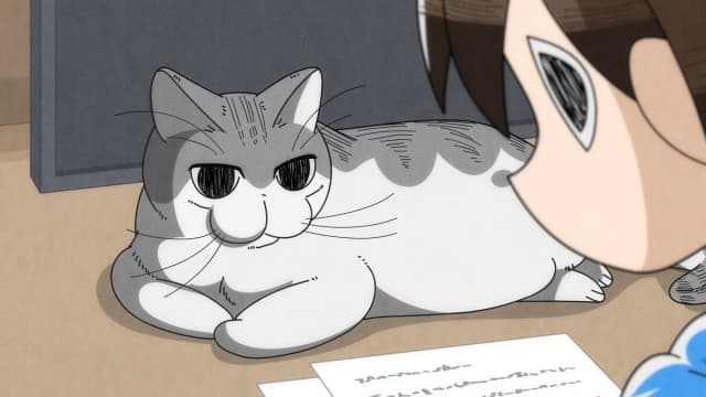 Episode 15: When the Cat`s Face Is Different Every Time You Look