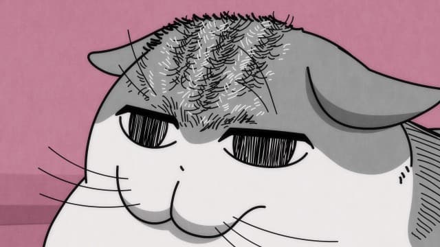 Episode 19: Cat Forehead Hair