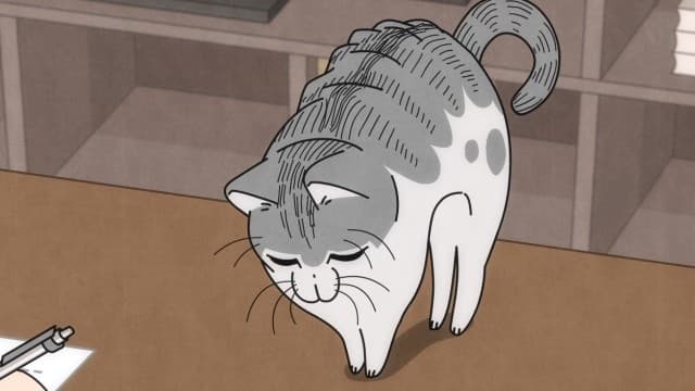 Episode 20: The Cat That Sits Back Down