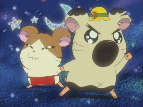 Episode 90: Hamtaro and the Space Ship!
