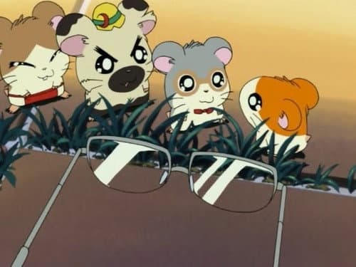 Episode 29: The Search for Dad`s Glasses!