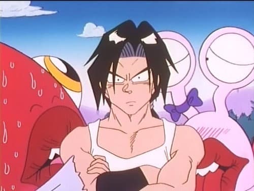 Episode 20: Hachamecha! Papuwa Shima Daiundoukai