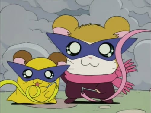 Episode 78: The Little Bandits!