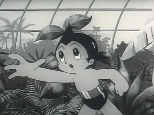 Episode 70: Rafflesia
