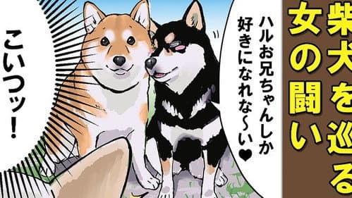 Episode 67: The Difference Between Men and Women / The Difference Between Men and Women and Dogs Part 1 / The Difference Between Men and Women and Dogs Part 2