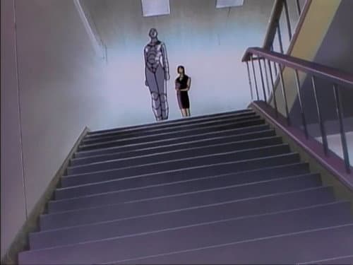 Episode 24: The Eight Stars!