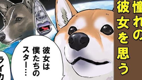 Episode 55: A Certain Dog`s Long Journey