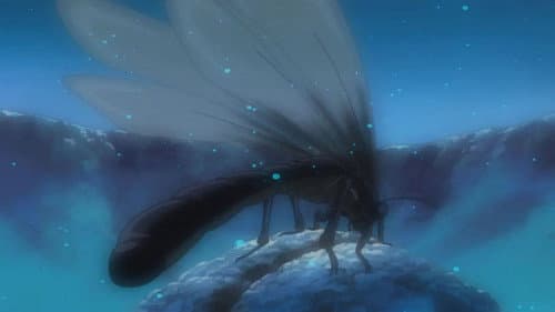 Episode 4: The Radiance of Life