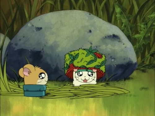 Episode 81: Stucky`s Tunnel